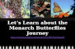 Let’s Learn about the Monarch Butterflies Journey