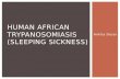 Human African Trypanosomiasis  ( sleeping sickness)