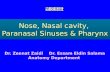 Nose, Nasal cavity,  Paranasal  Sinuses & Pharynx