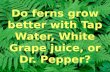 Do ferns grow better with Tap Water, White Grape juice, or Dr. Pepper?