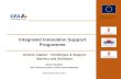 Integrated Innovation Support Programme