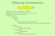 Offspring Development