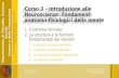 Corso 3 – Introduzione alle Neuroscienze: Fondamenti anatomo-fisiologici della mente