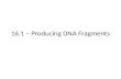 16.1 – Producing DNA Fragments