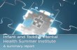 Infant and Toddler Mental Health Summer Institute