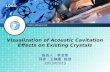 Visualization of Acoustic  Cavitation  Effects on Existing Crystals 报告人：李洁琼 导师：王静康  教授 2013/03/23