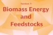 Section  7:  Biomass  Energy  and  Feedstocks