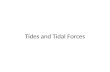 Tides and Tidal Forces