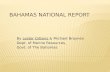 Bahamas National Report