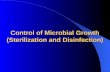 Control of Microbial Growth (Sterilization and Disinfection)