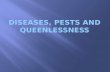 Diseases, Pests and queenlessness