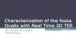 Characterization of the  fossa Ovalis  with Real Time 3D TEE