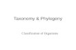 Taxonomy & Phylogeny