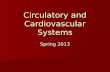 Circulatory and Cardiovascular Systems