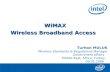 WiMAX Wireless Broadband Access