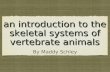 an introduction to the skeletal systems of vertebrate animals