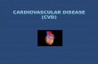 CARDIOVASCULAR DISEASE (CVD)