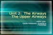 Unit 2:  The Airways The Upper Airways