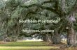 Southern Plantation