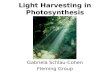 Light Harvesting in Photosynthesis