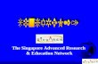 The Singapore Advanced Research  & Education Network