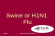 Swine or H1N1  Flu