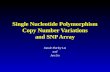 Single Nucleotide Polymorphism Copy Number Variations and SNP Array