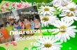 МКДОУ  Детский сад № 451          комбинированного вида                        «Теремок »