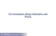 FS Consistency, Block Allocation, and WAFL
