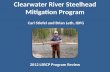 Clearwater River Steelhead Mitigation Program