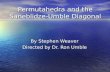Permutahedra and the Saneblidze-Umble Diagonal