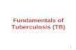 Fundamentals of Tuberculosis (TB)