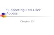 Supporting End-User Access