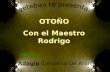Musica: Adagio Concierto De Aranjuez