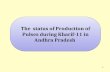 The  status of Production of Pulses during Kharif-11 in Andhra Pradesh