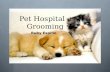Pet Hospital + Grooming
