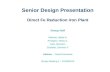 Senior Design Presentation Direct Fe Reduction Iron Plant