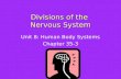 Divisions of the  Nervous System