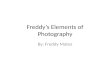 Freddy’s Elements of Photography