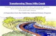 Transforming Three Mile Creek
