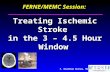 FERNE/MEMC Session:  Treating Ischemic Stroke  in the 3 – 4.5 Hour Window
