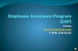 Employee Assistance Program (EAP)