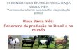 IX CONGRESSO BRASILEIRO DA RAÇA SANTA INÊS “A ovinocultura frente aos desafios da produção animal”
