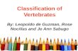 Classification of Vertebrates