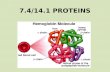 7.4/14.1 PROTEINS