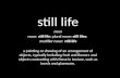 still life noun noun:  still life ; plural noun:  still  lifes ;  modifier noun:  still-life