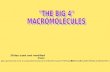 "THE BIG 4" MACROMOLECULES