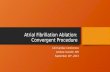 Atrial Fibrillation Ablation:  Convergent Procedure