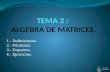 TEMA 2 :  ALGEBRA DE MATRICES.