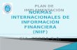 NORMAS INTERNACIONALES DE INFORMACIÓN FINANCIERA (NIIF)